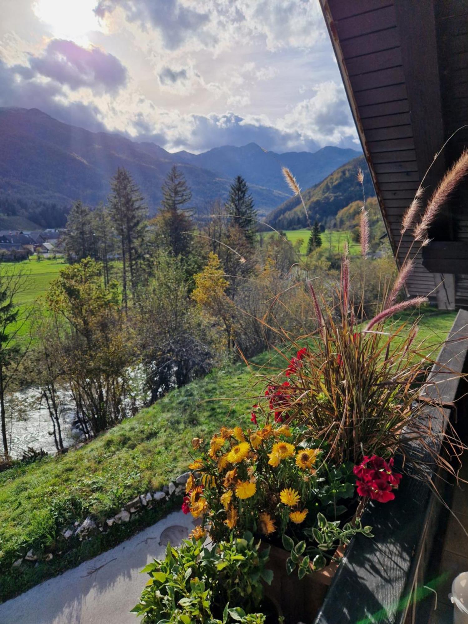Apartment Brod On The Hill *